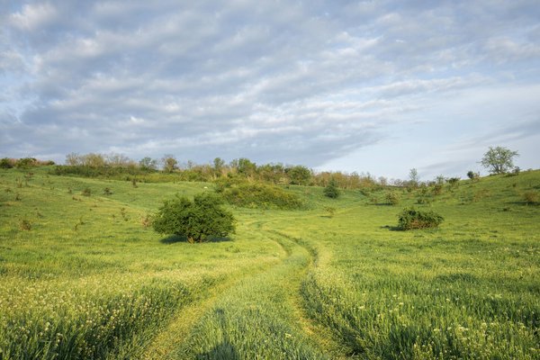 Comment découvrir les traditions du tissage de tapis en Azerbaïdjan?