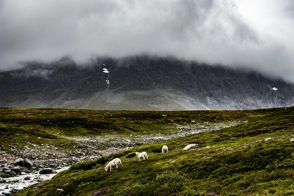 Quels sont les meilleurs conseils pour une randonnée dans les montagnes du Pamir, Tadjikistan?