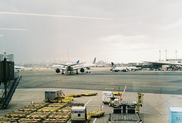 Où pratiquer le snorkeling au milieu des raies manta à Hawaii ?